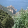 CORSE